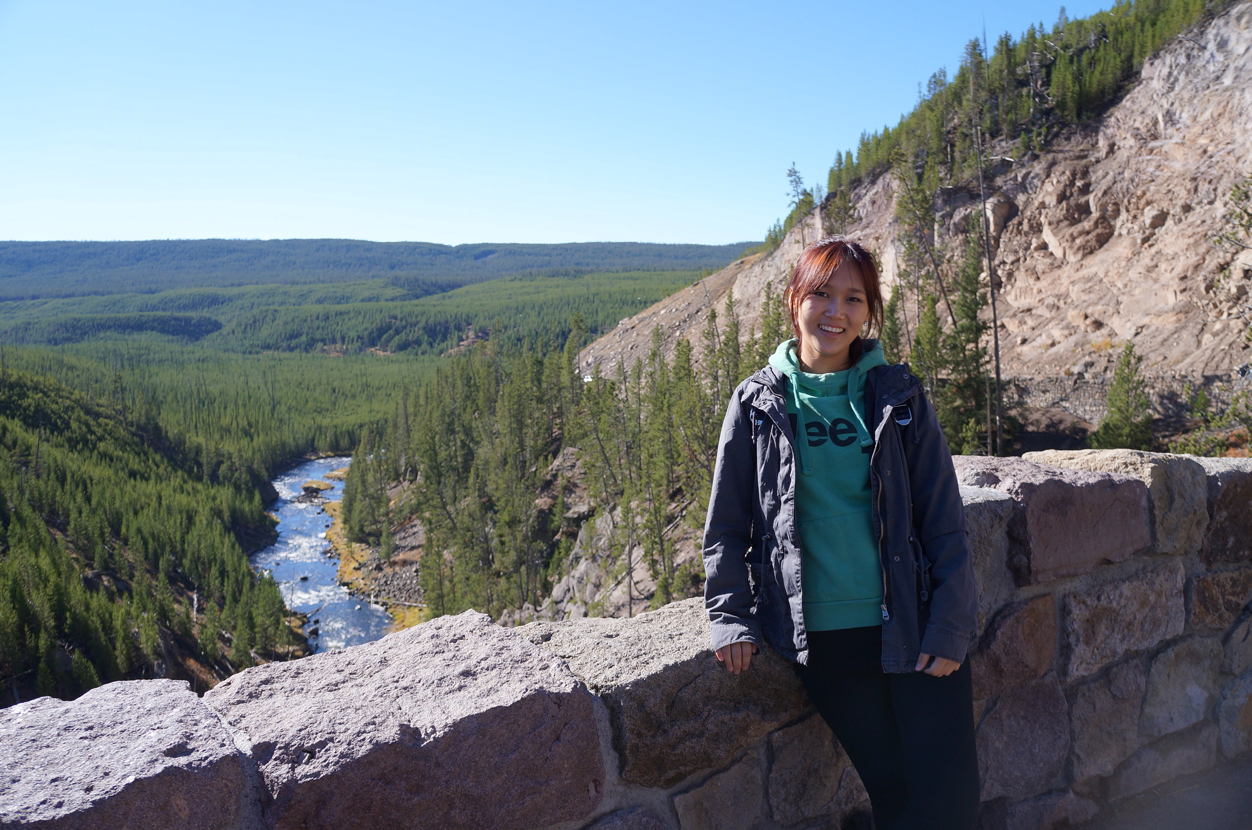 신속한 영어번역 해드립니다! (영한/한영)-이미지