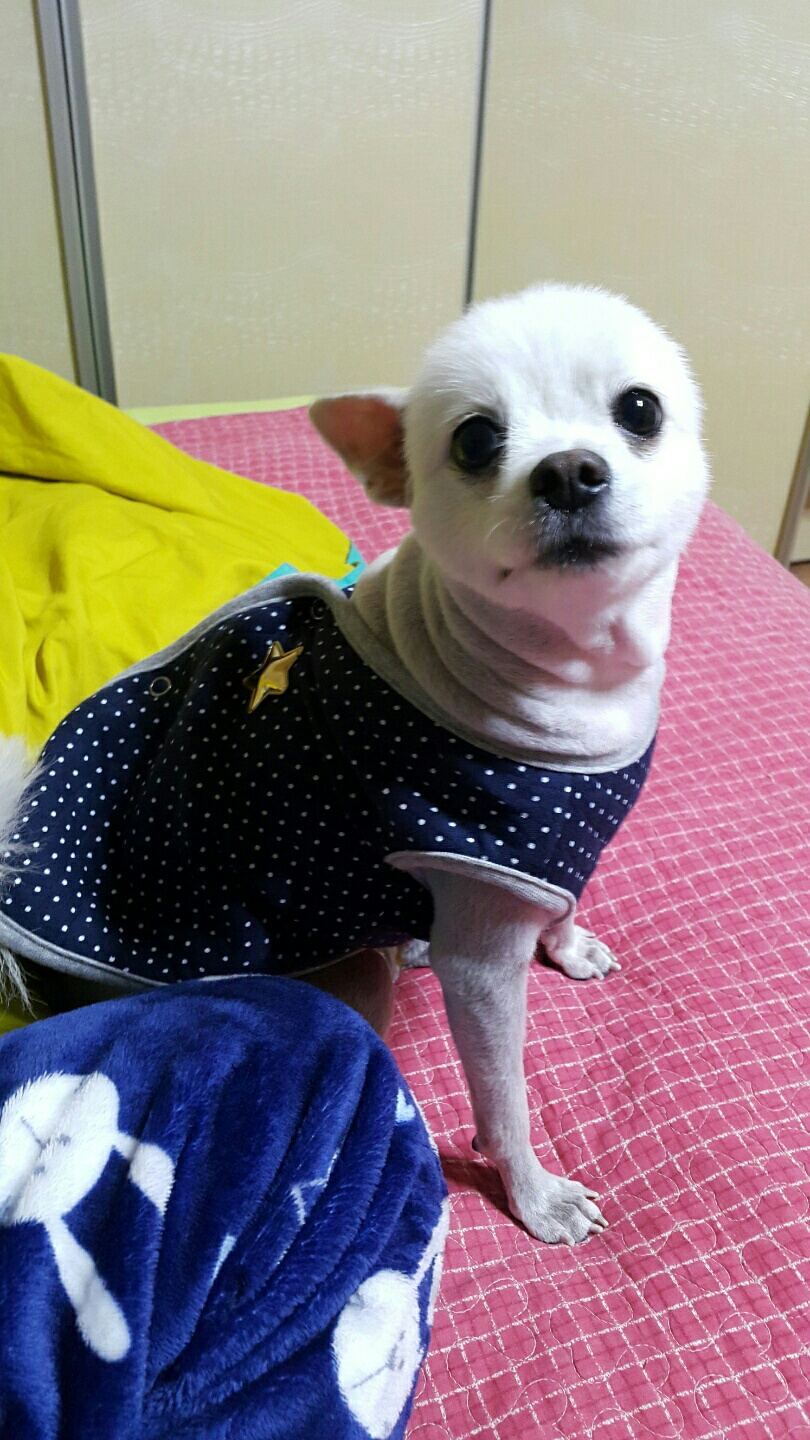 말못할 고민이나 걱정을 저와 함께 나눠요-이미지