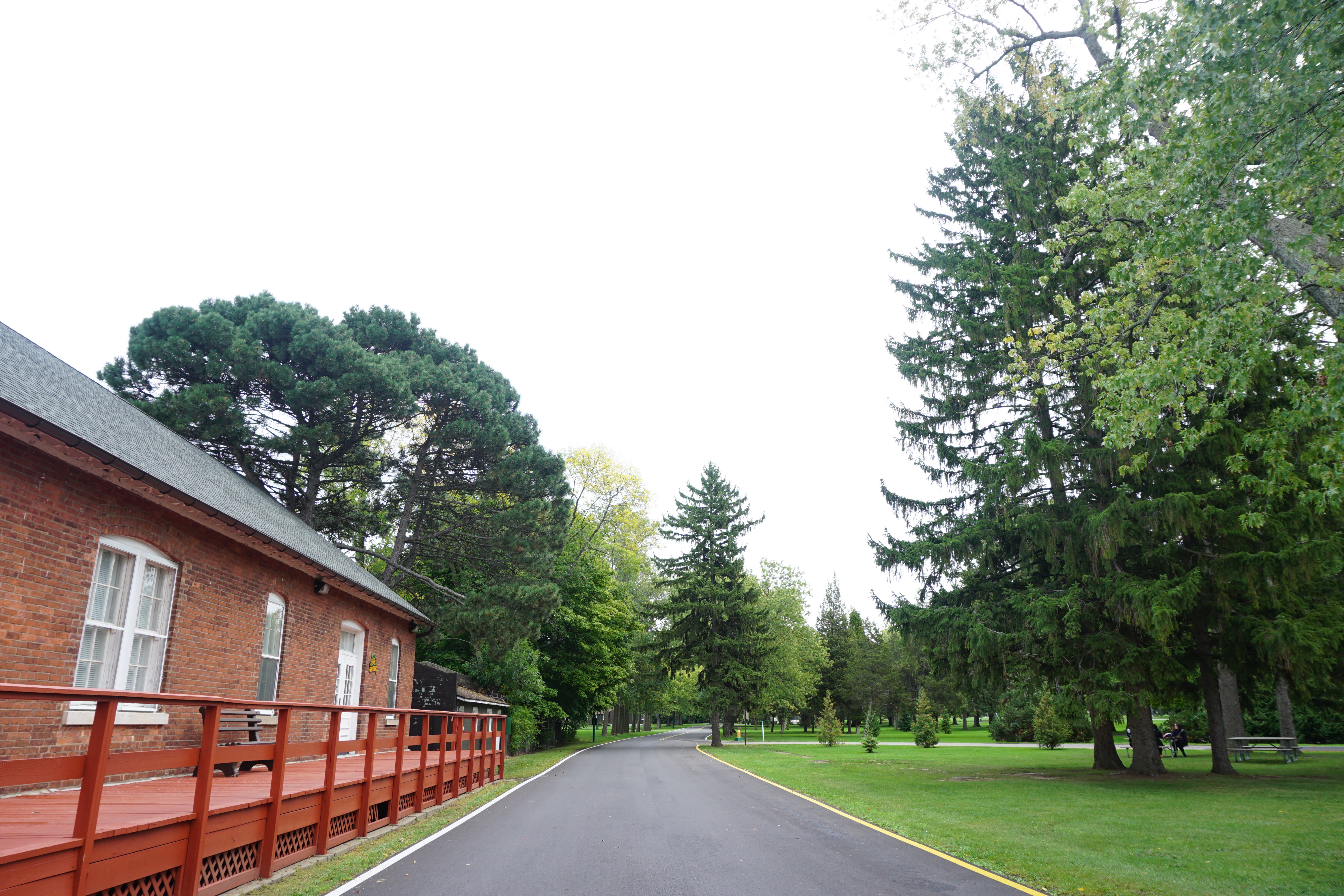  자연스러운 번역 해드립니다(영어강사출신)-이미지