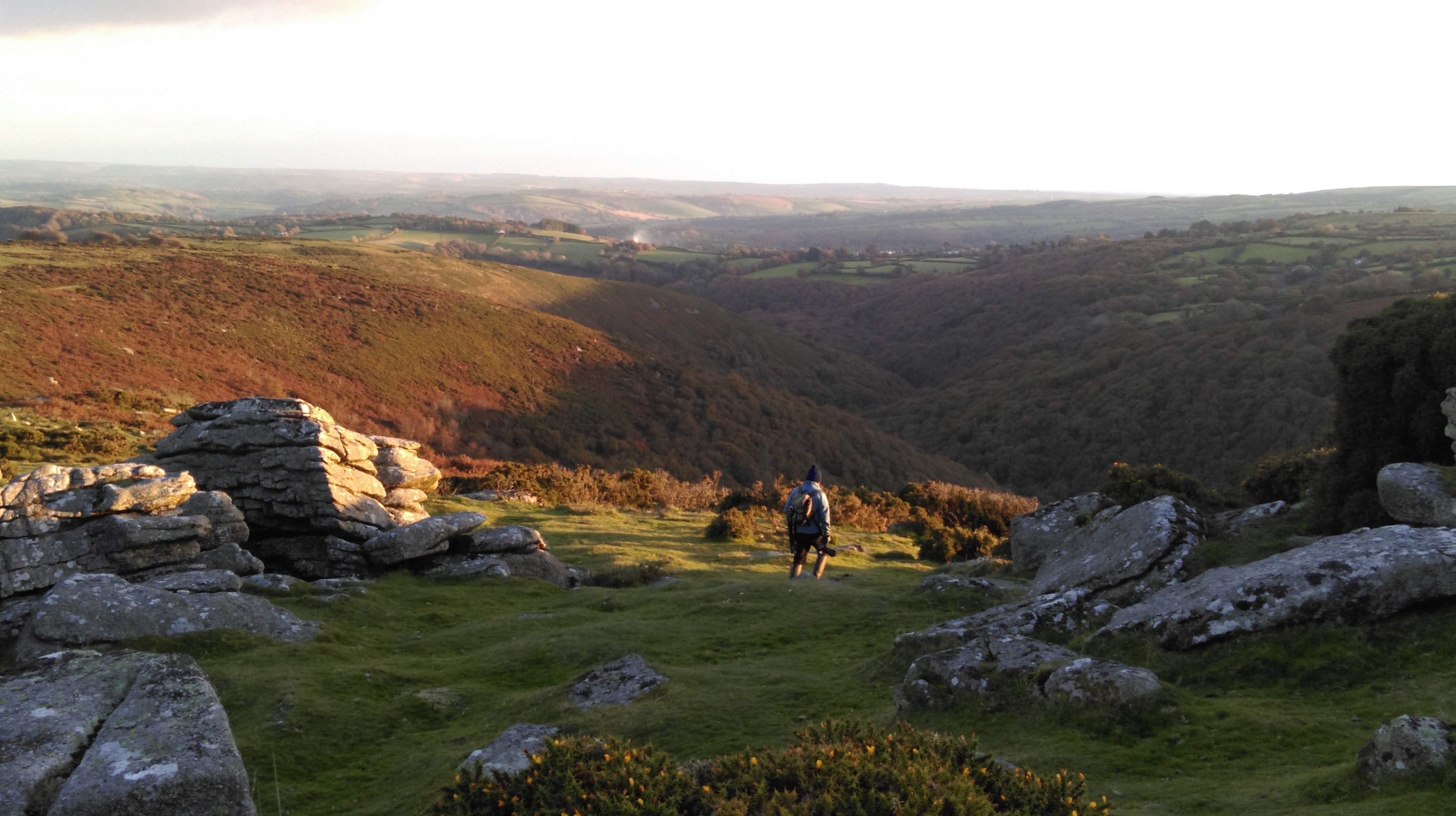  영국 원어민이 한영번역과 논문/영작 검수를 해드립니다!-이미지