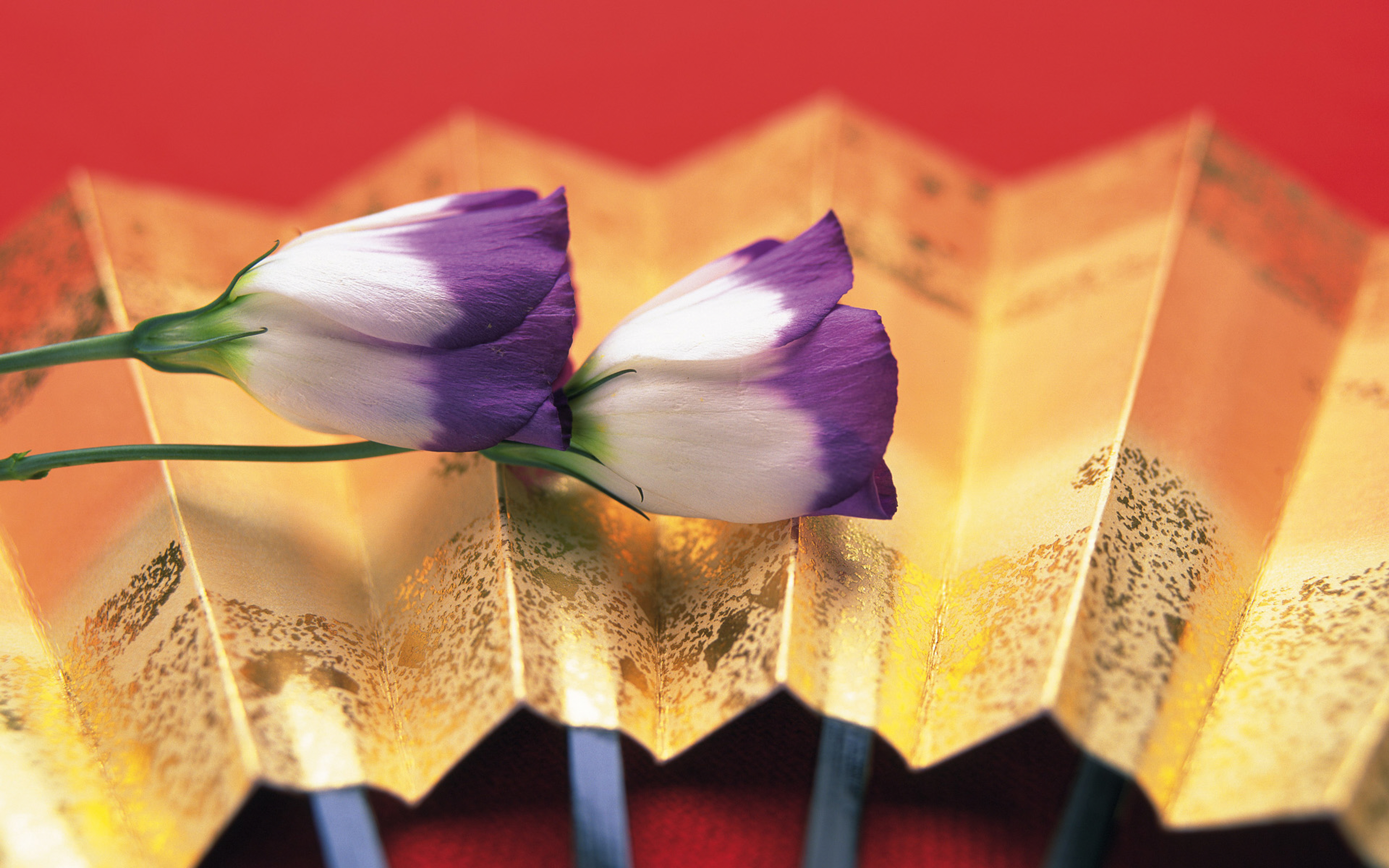  한일 / 일한 일본 현지 생생 번역-이미지