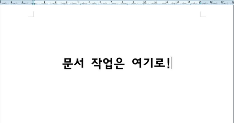  문서 작성, 누구보다 빠르게 무엇보다 정확하게.-이미지