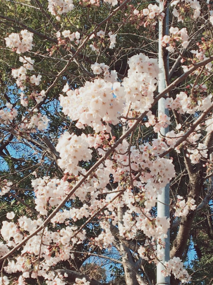  현재일본유학중! 정확하고깔끔한번역을신속하게해드립니다-이미지