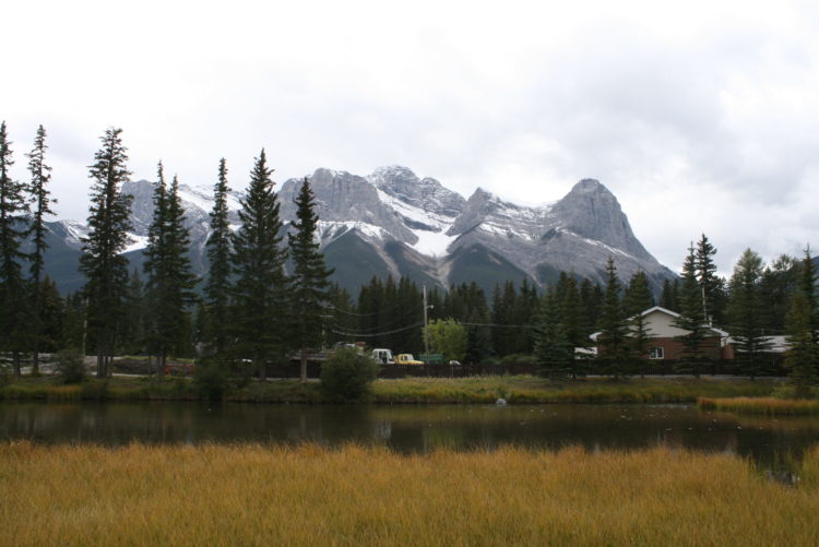  기술/번역/교육번역 가능, 대기업 통번역 경험, 영한/한영,캐나다거주-이미지