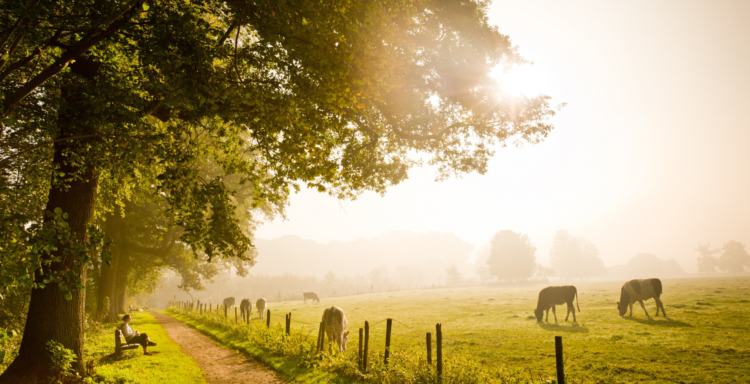 한/영 – 문서/이미지/pdf등 빠르게 타이핑해드립니다 :)-이미지