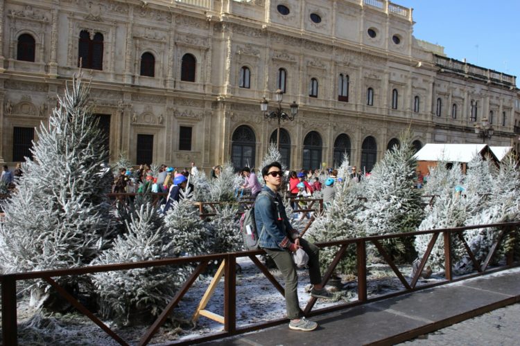 국내거주자 한/영, 영/한 번역 가능-이미지