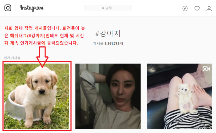 (인기게시물 보장!) 인스타그램 1달간 무제한 자동좋아요 작업 해드립니다-이미지