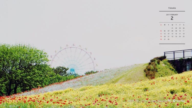  중국어로 번역해드려요! HSK 6급, 중국 13년 거주-이미지