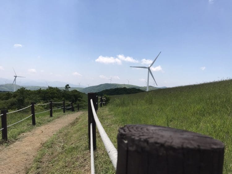  영어 번역 서비스-이미지