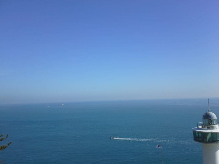 문서 교정해 드립니다.-이미지