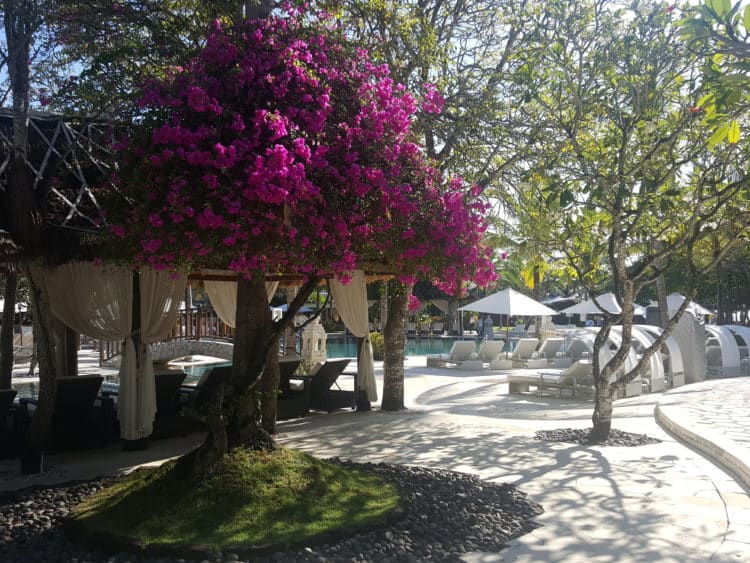 자기개발서, 교육관련 서적및 문서 번역, 영어영상 번역후 자막작업-이미지