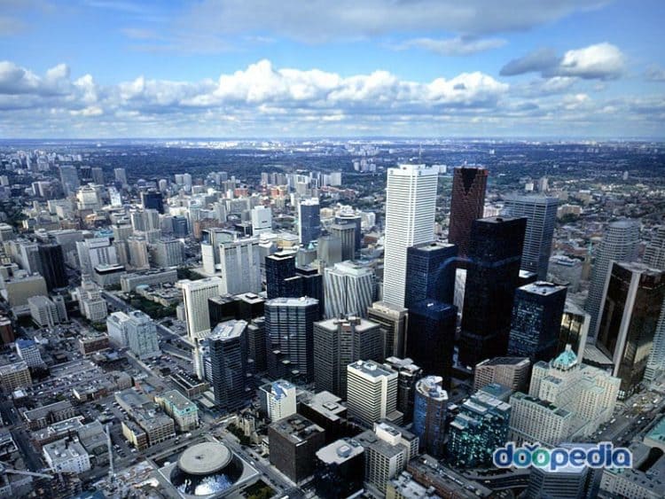 영한/한영 번역 해드려요 캐나다 토론토 대학교 졸업-이미지