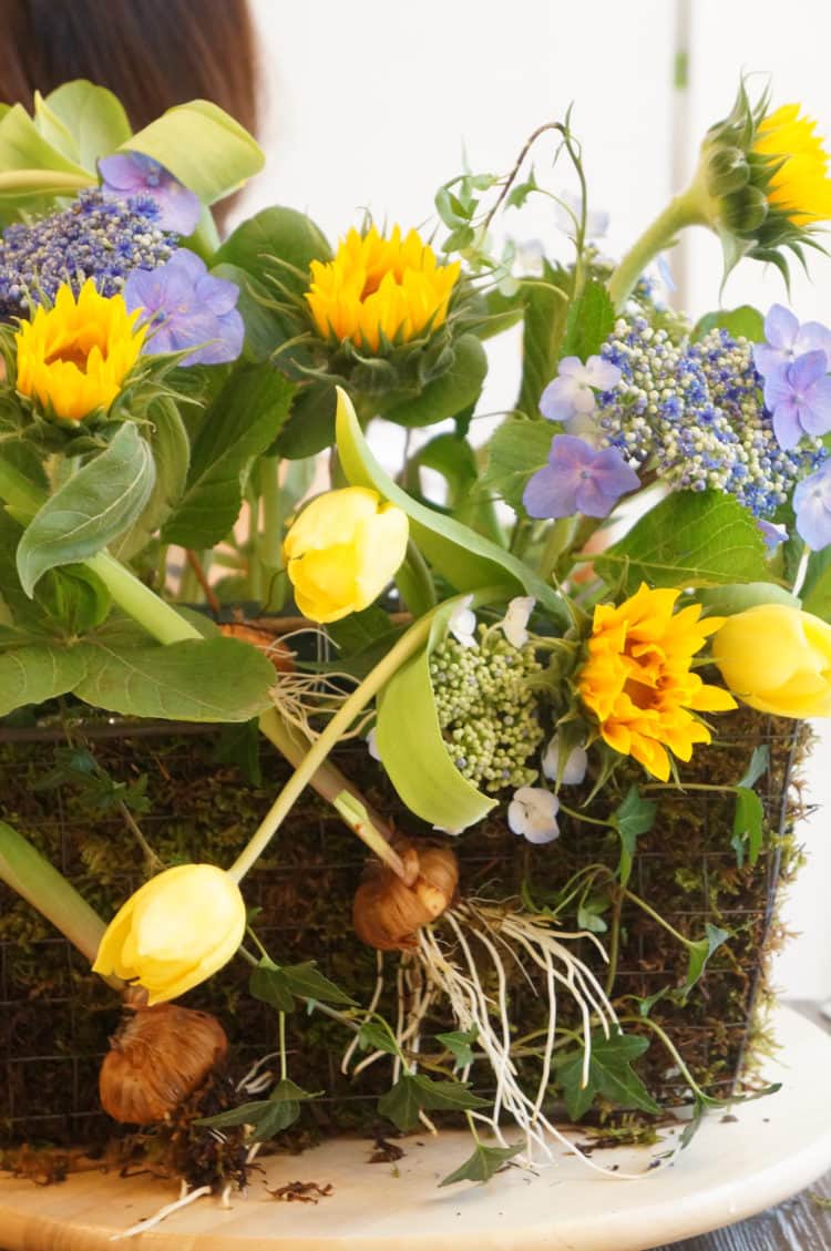  한일/일한 번역 (일본어 전공, 통번역 경험 다수)-이미지