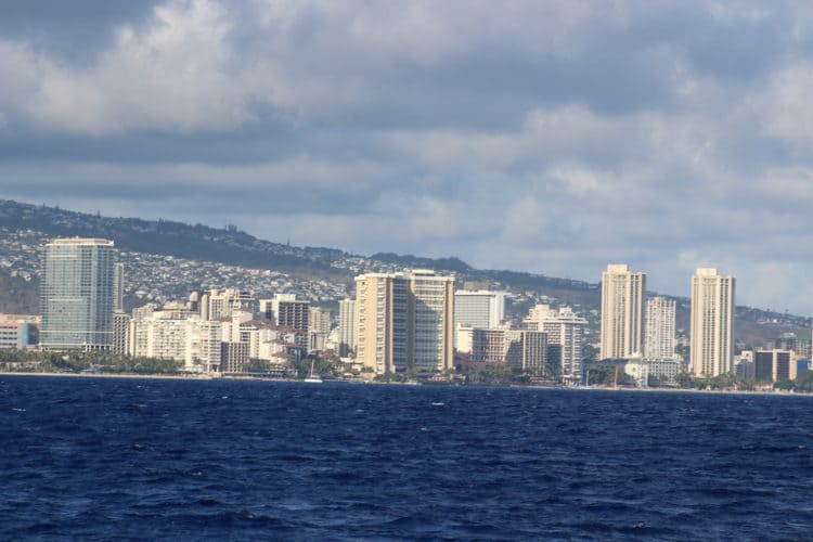 원어민 영어 실력으로 한영영한 번역-이미지