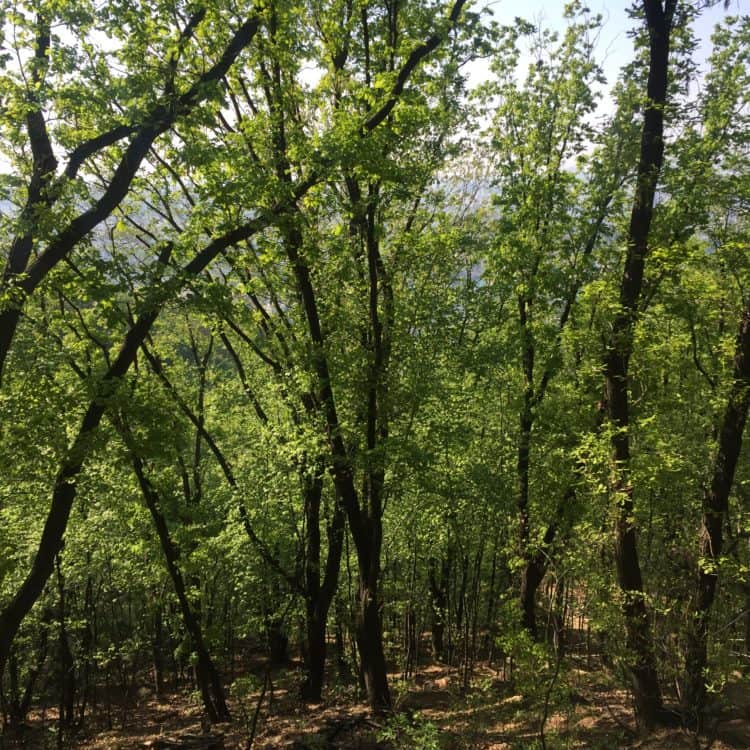 의학이나 과학, 심리학 등 관련 영어번역/각종 도서 독후감 써드립니다.-이미지