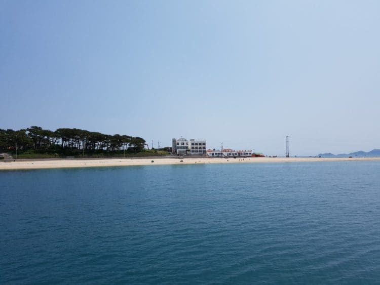 문서 교정 및 편집의 달인-이미지