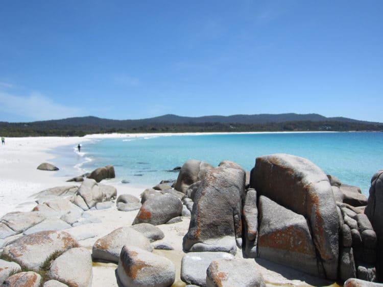 현 호주 국립학교 근무 / 영한 한역 번역-이미지