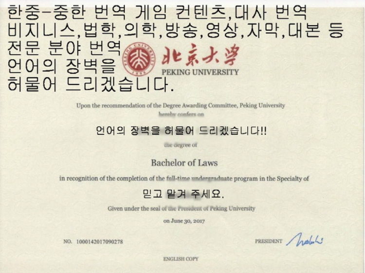 일상적인 문서번역부터 전문적인 번역까지 상황에 맞는 의역을 통해 언어의-이미지