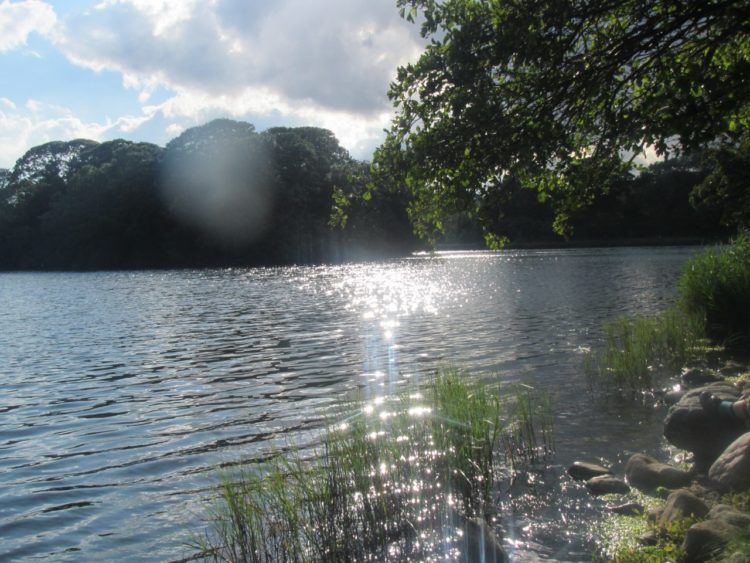 조약돌에 참기름 바른 듯 매끄럽게 번역해드립니다^^-이미지