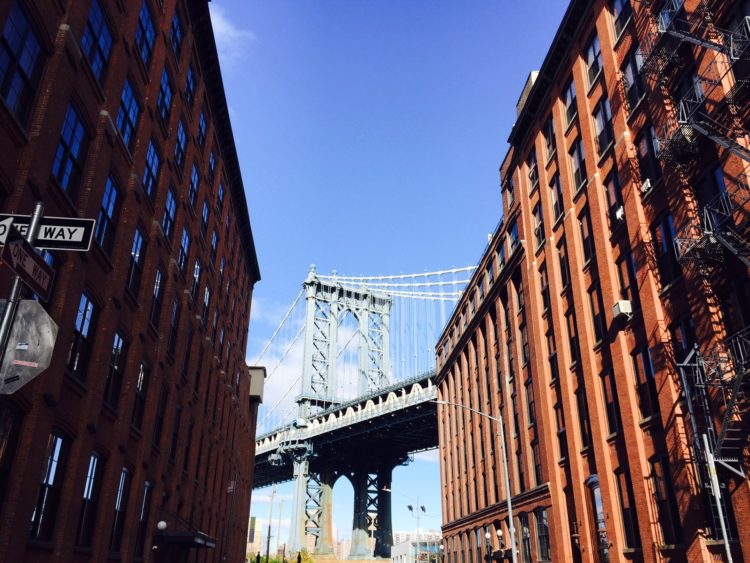 영어/한글 타이핑 미국 주립대 학생, 연세대 교환학생-이미지