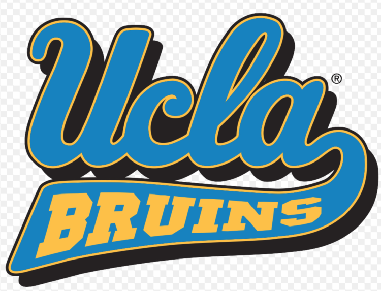 UCLA 졸업생이 신속/정확히 번역/영작해 드립니다-이미지