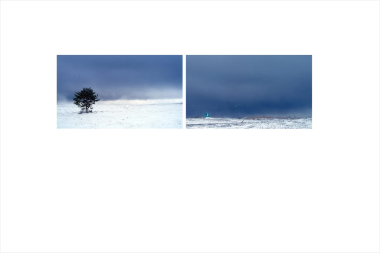 일본거주5년/와세다대학대학원 졸업/번역프리랜서 활동중-이미지