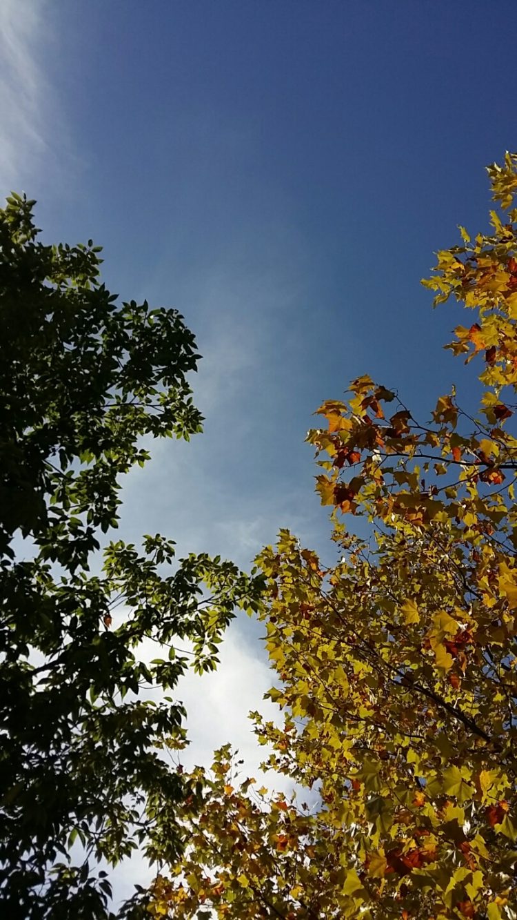 문서작성 교정-이미지