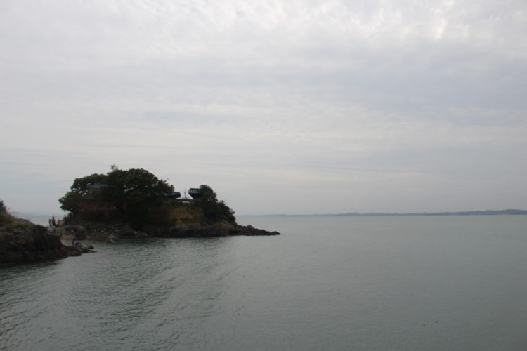 사용자 개개인에 맞춘 personalized 번역합니다!-이미지