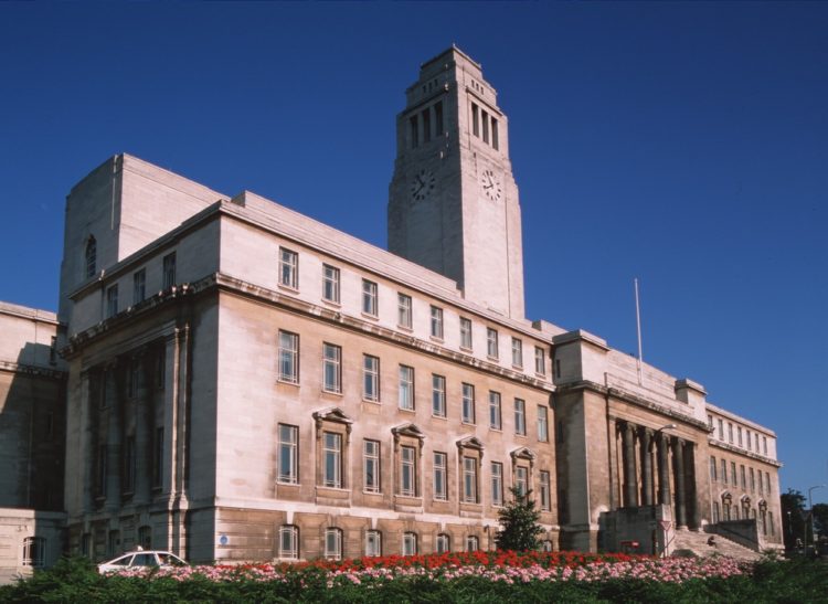 영한번역, 한영번역 해드립니다.-이미지