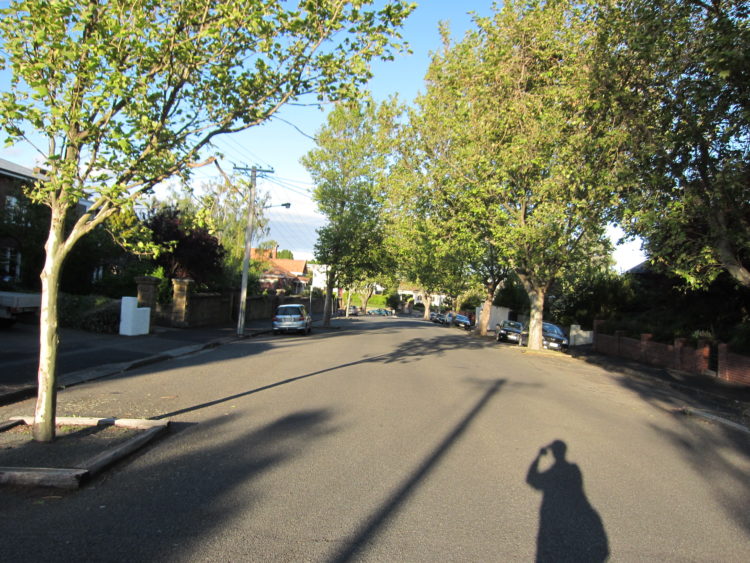 현 호주 국립학교 교사 / 영어번역 경험 다수-이미지