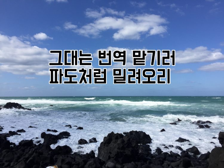 언어를 다루는 것이 제일 신납니다.-이미지