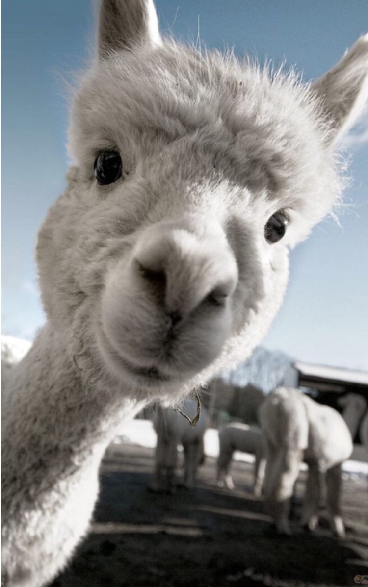 한영 영한 번역 (이공계 전문 문서도 가능)-이미지