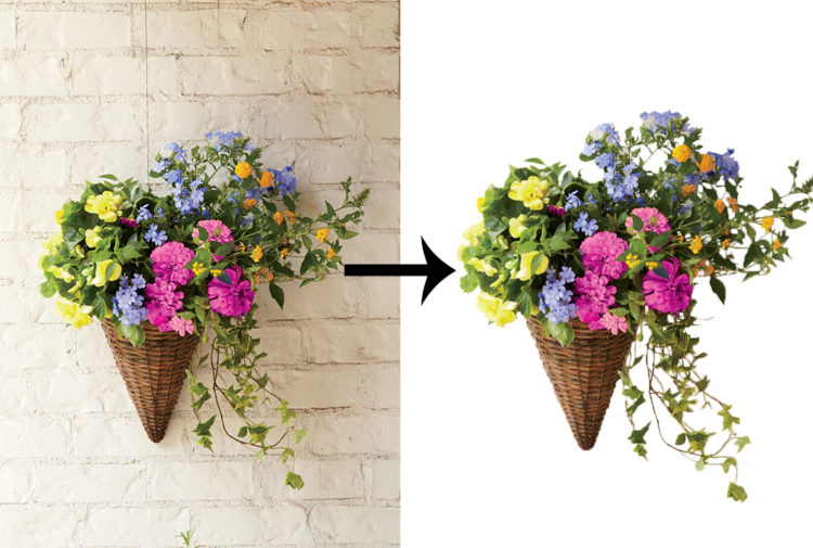 누끼 따르려요!-이미지