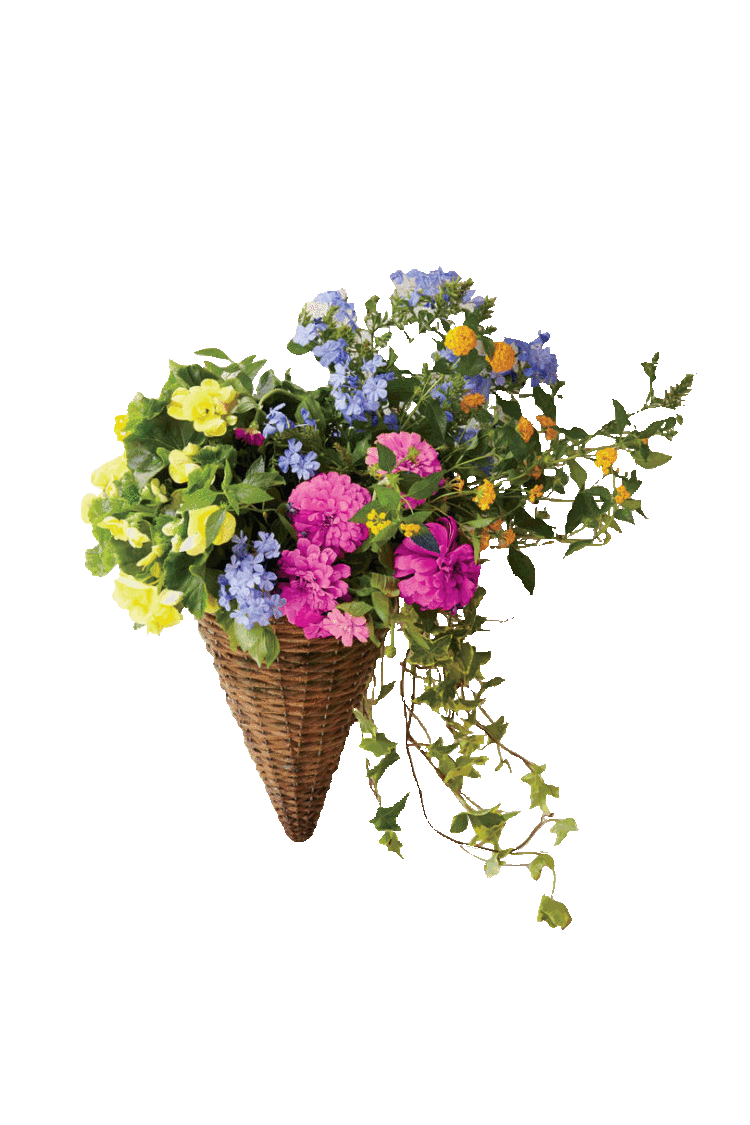 누끼 따르려요!-이미지