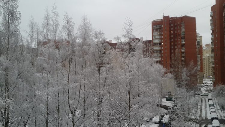 러시아어 빠른번역/ 러한번역-이미지