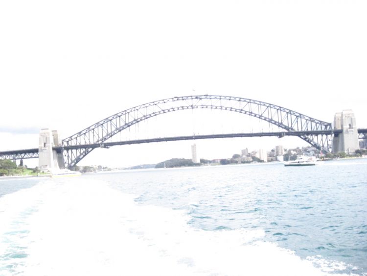 영어강사 10년. 호주유학 5년. 영문학과. TESOL 수료. 영한번역-이미지