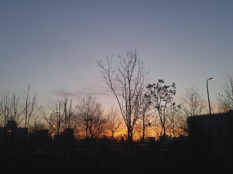 중국어 번역해드립니다-이미지