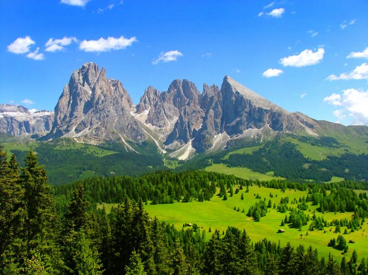 고민이나 걱정이 있으면 모두 해결해드립니다^^믿고 찾아주세요^^-이미지