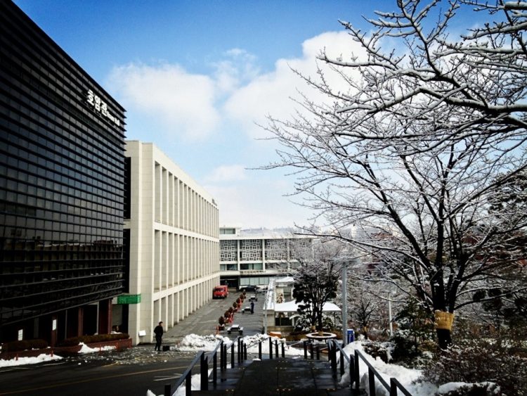 러-한,한-러 번역 해드립니다-이미지