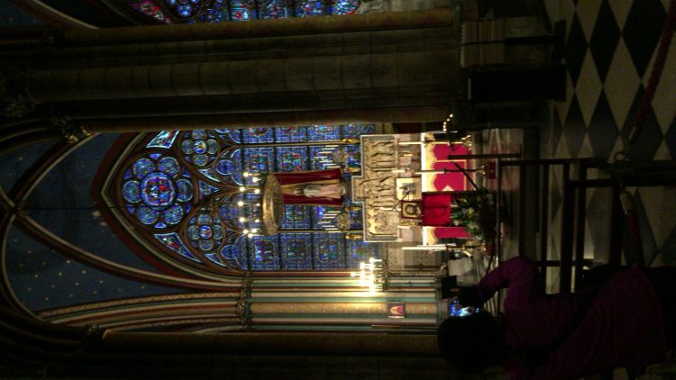 프랑스어 번역 신속하게 해드립니다-이미지