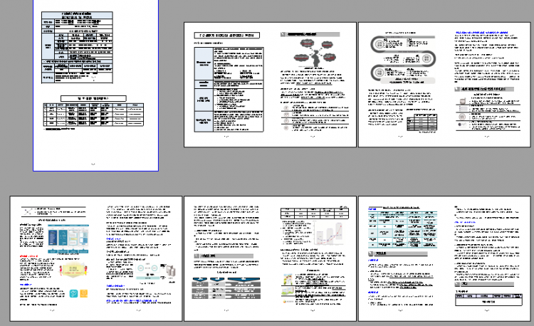 [사업계획서/논문/레포트/자기소개서/이력서] 문서를 제작해드립니다.-이미지