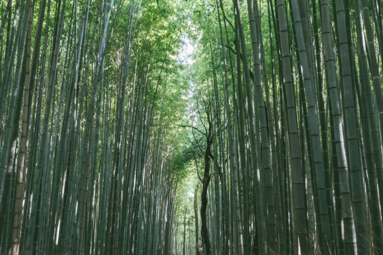 당신의 마음에 병이 있지 않았으면 합니다.-이미지
