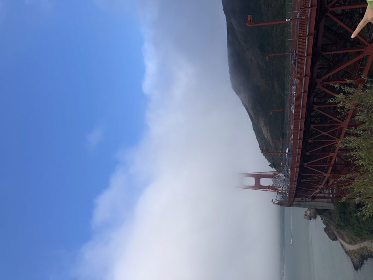 [영한/한영 번역/즉각번역]-이미지