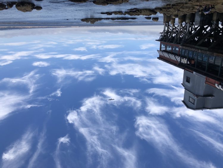 [영한/한영 번역/즉각번역]-이미지