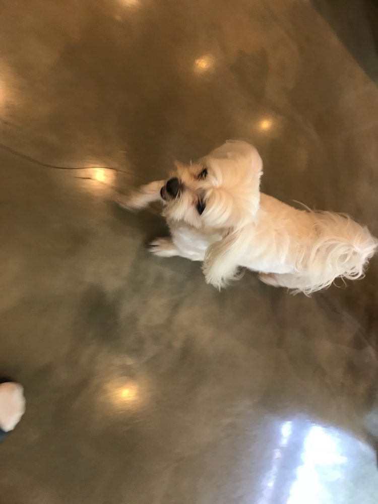 한글700타 이상 / 영문 500타 이상입니다. 급하실 때 불러 주세요-이미지