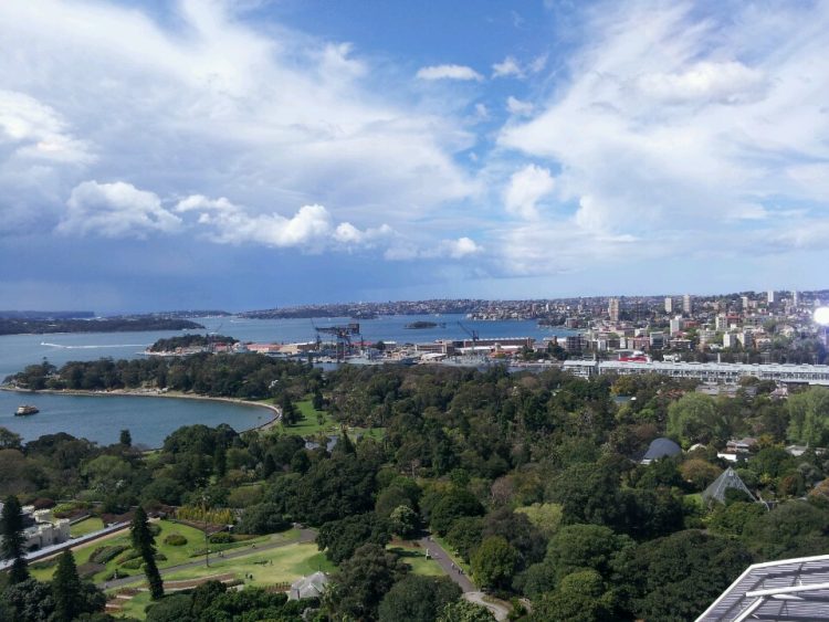 한영/영한 번역 합니다-이미지