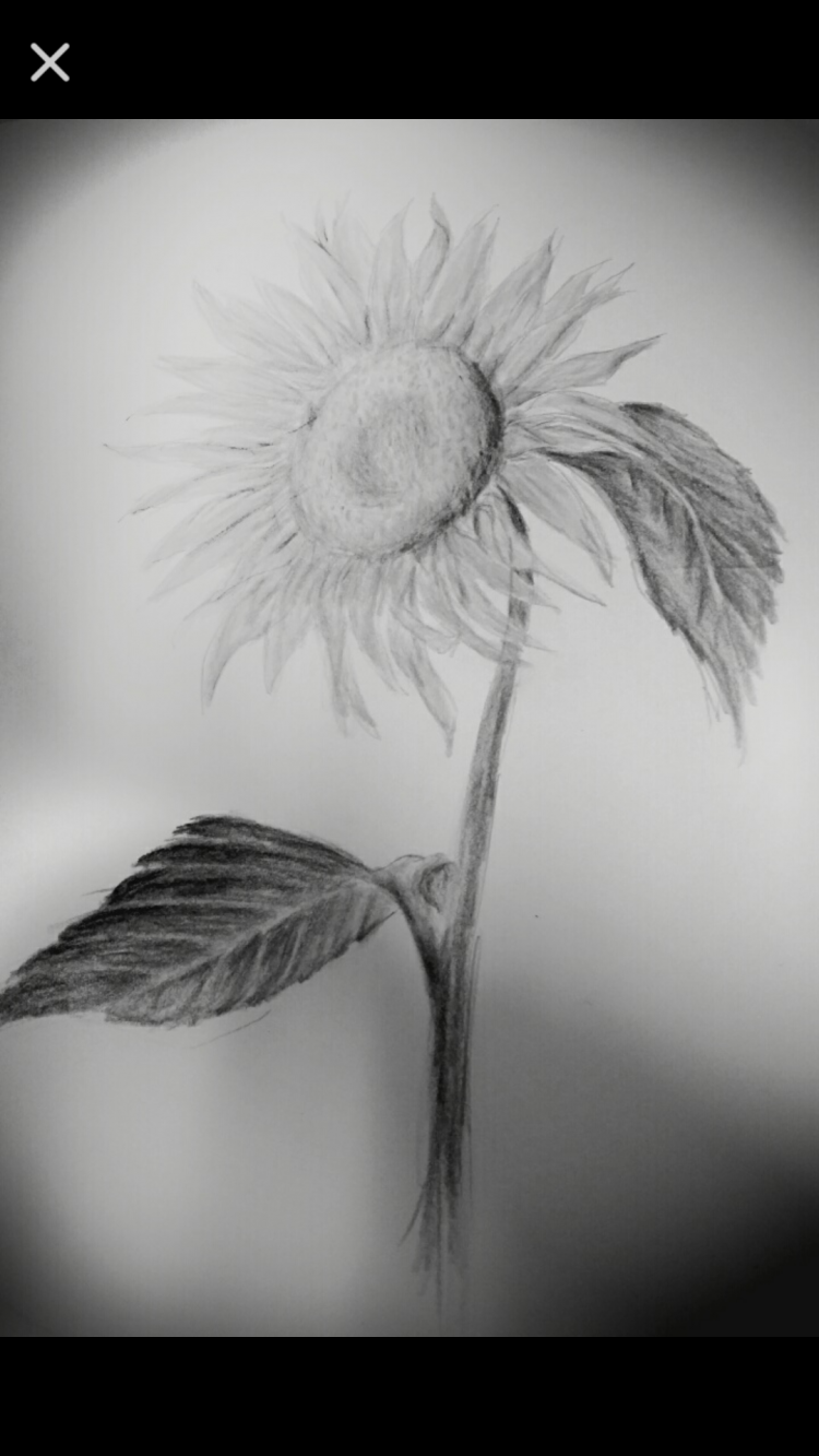 인물 스케치-이미지