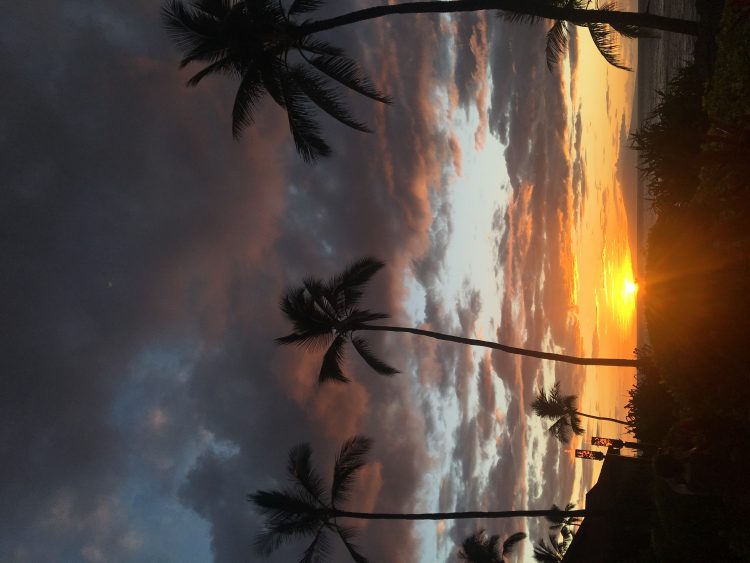 대입자기소개서 첨삭/수시 상담-이미지