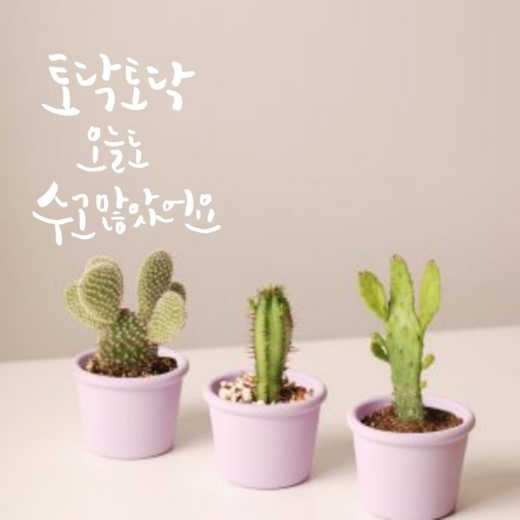 캘리그라피 의뢰받습니다:)-이미지