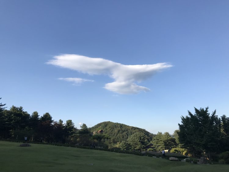 일본거주 9년 일한 한일 통번역 쉽게 해드립니다!-이미지